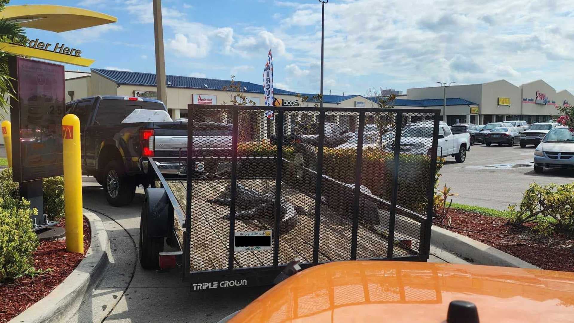 Alligator spotted in McDonald's drive-thru in Arcadia
