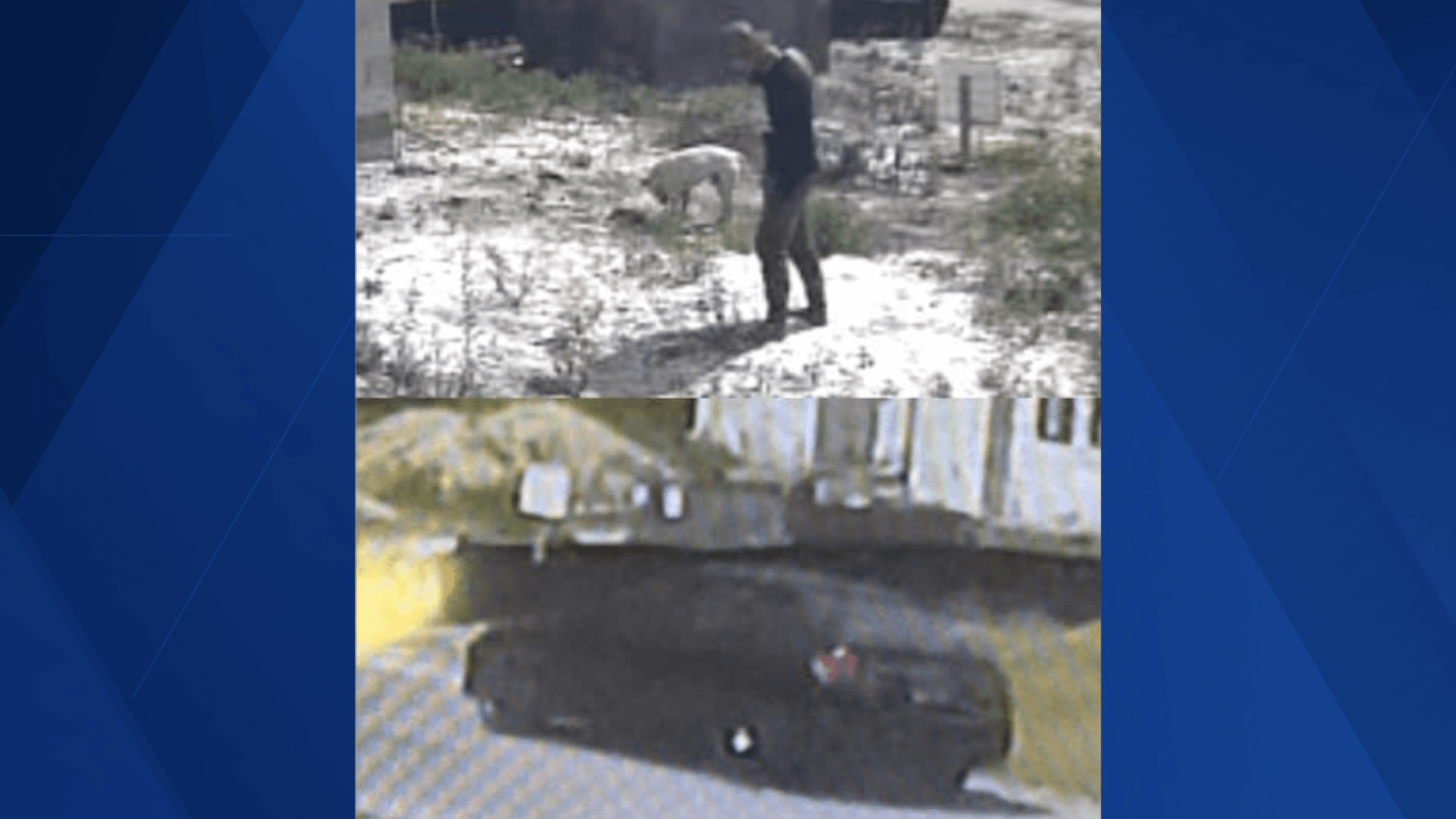 Dog tags along with man accused of theft from Lehigh Acres construction site