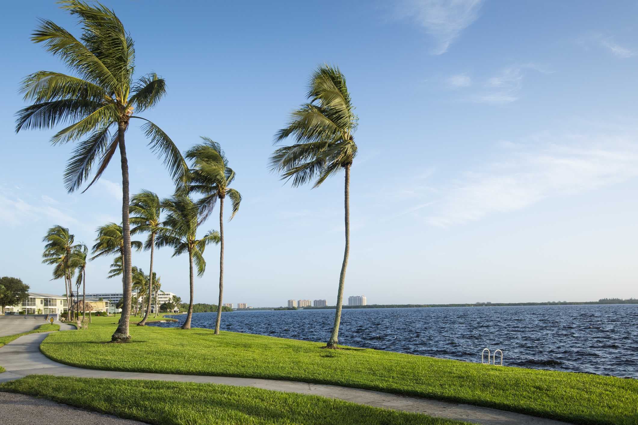 Cape Coral parks now offer free Wi-Fi for residents