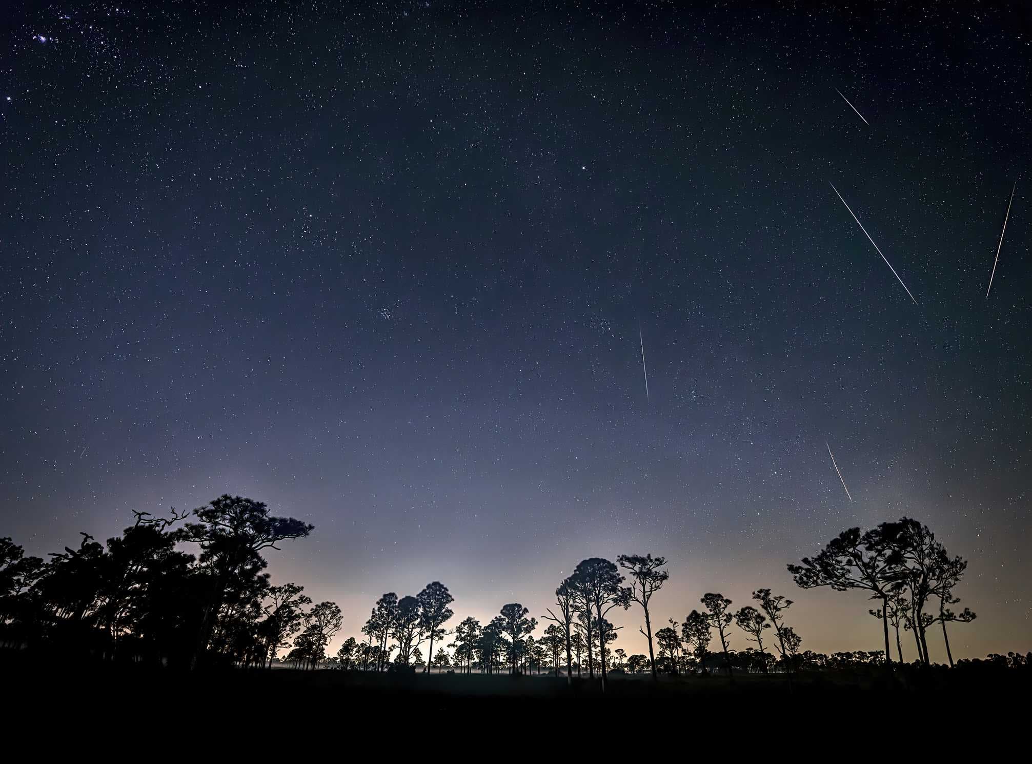 Perseid meteor shower set to put on a show this weekend in Southwest Florida