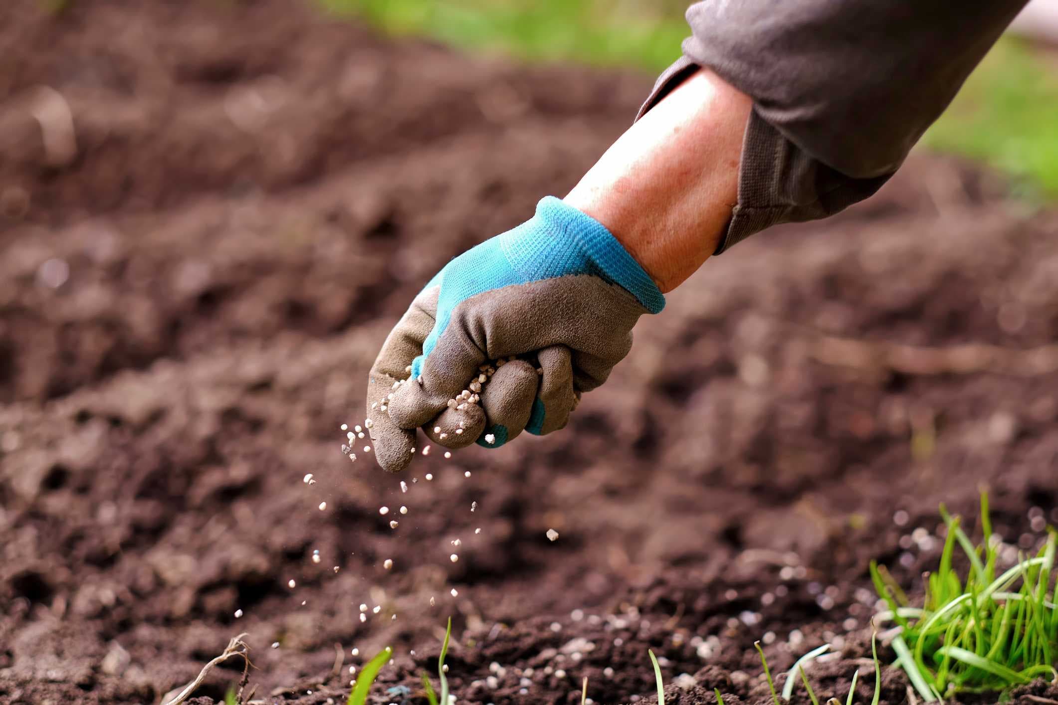 Fertilizer bans begin for Sanibel, Naples and Marco Island