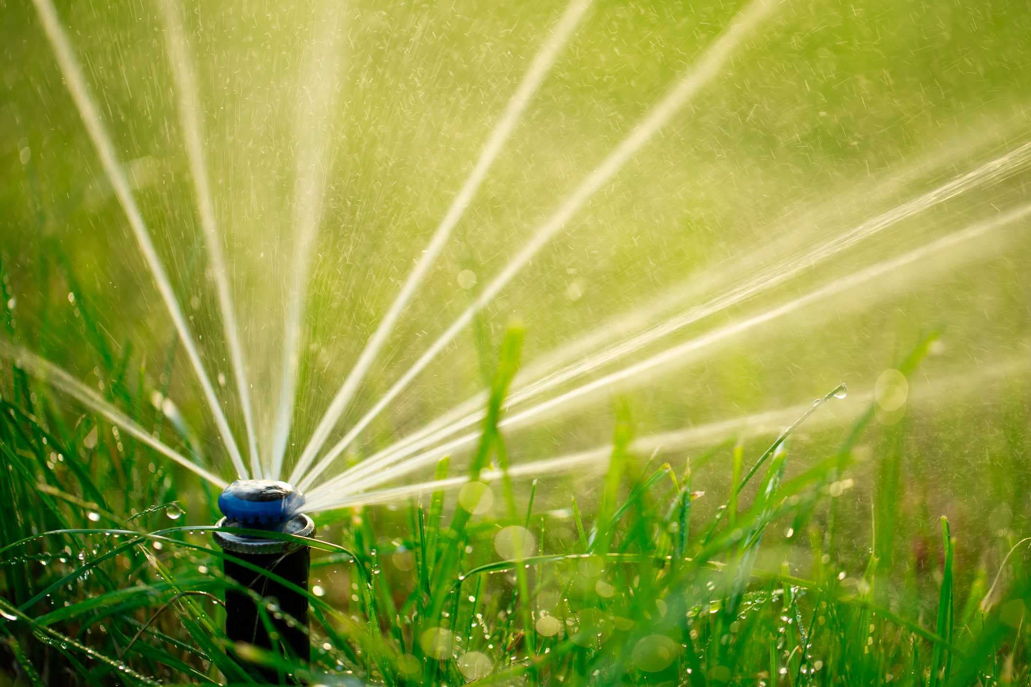 Cape Coral residents receive new water restriction letters amid drought