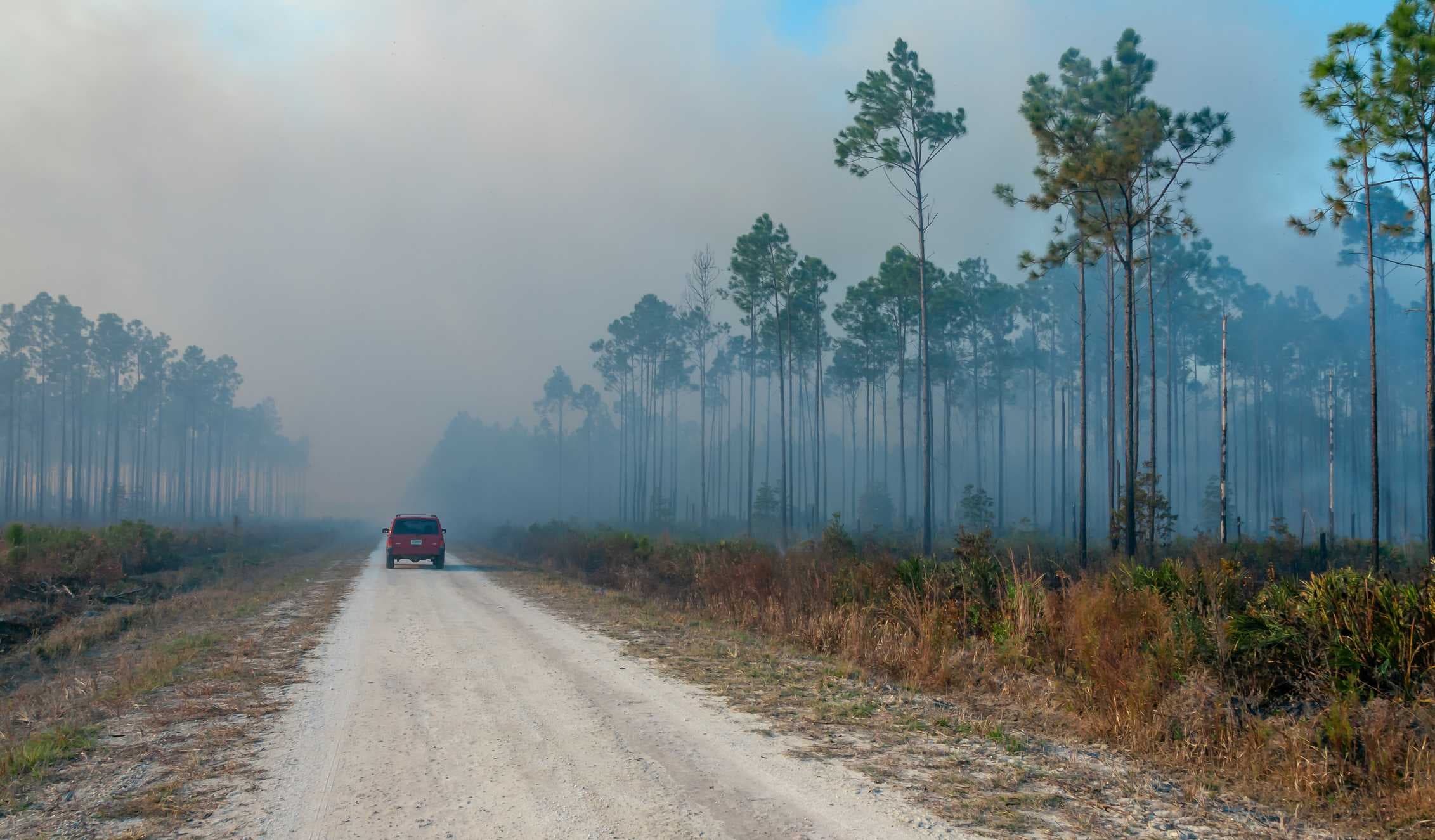 Burn ban enacted across Lee County as dry conditions raise wildfire concerns