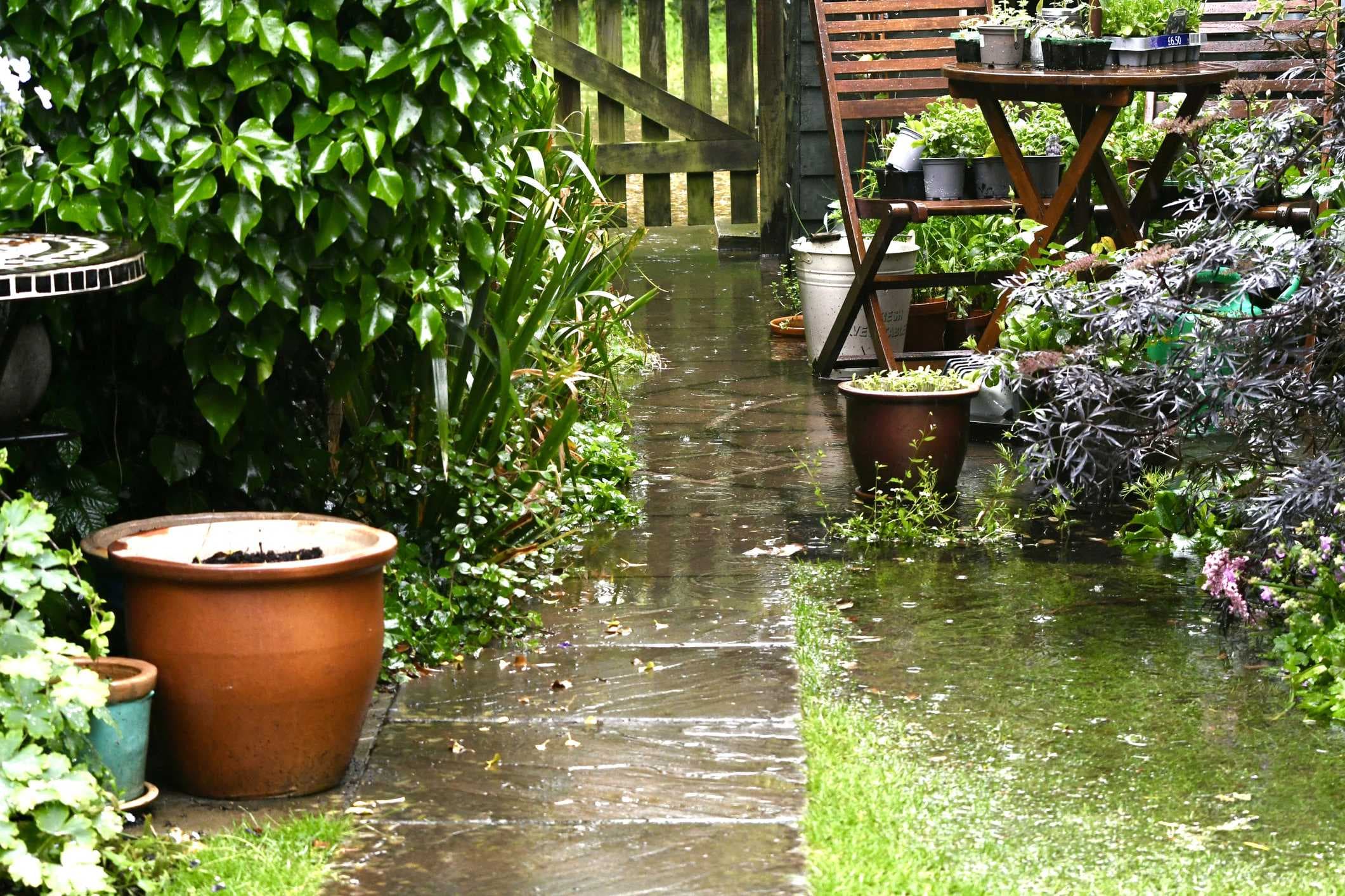 Essential tips for protecting your garden during hurricane season