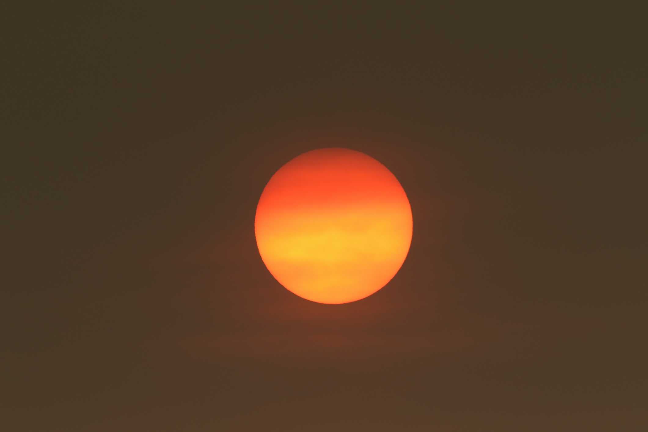 How does Saharan dust affect us in Florida?
