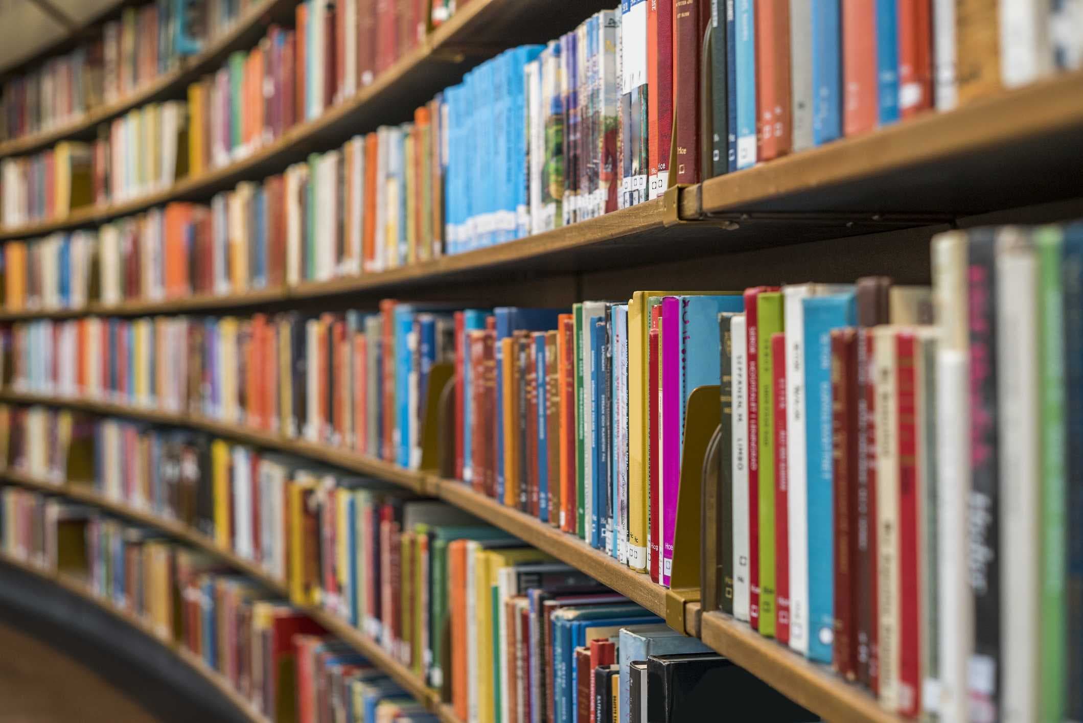 Florida denies claims of First Amendment violations over book removals in schools