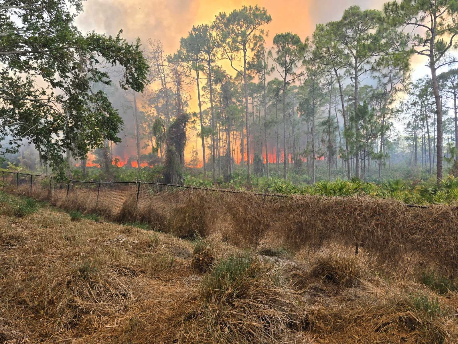 Crews battle brush fire off Old 41 Rd near Mediterra in North Naples