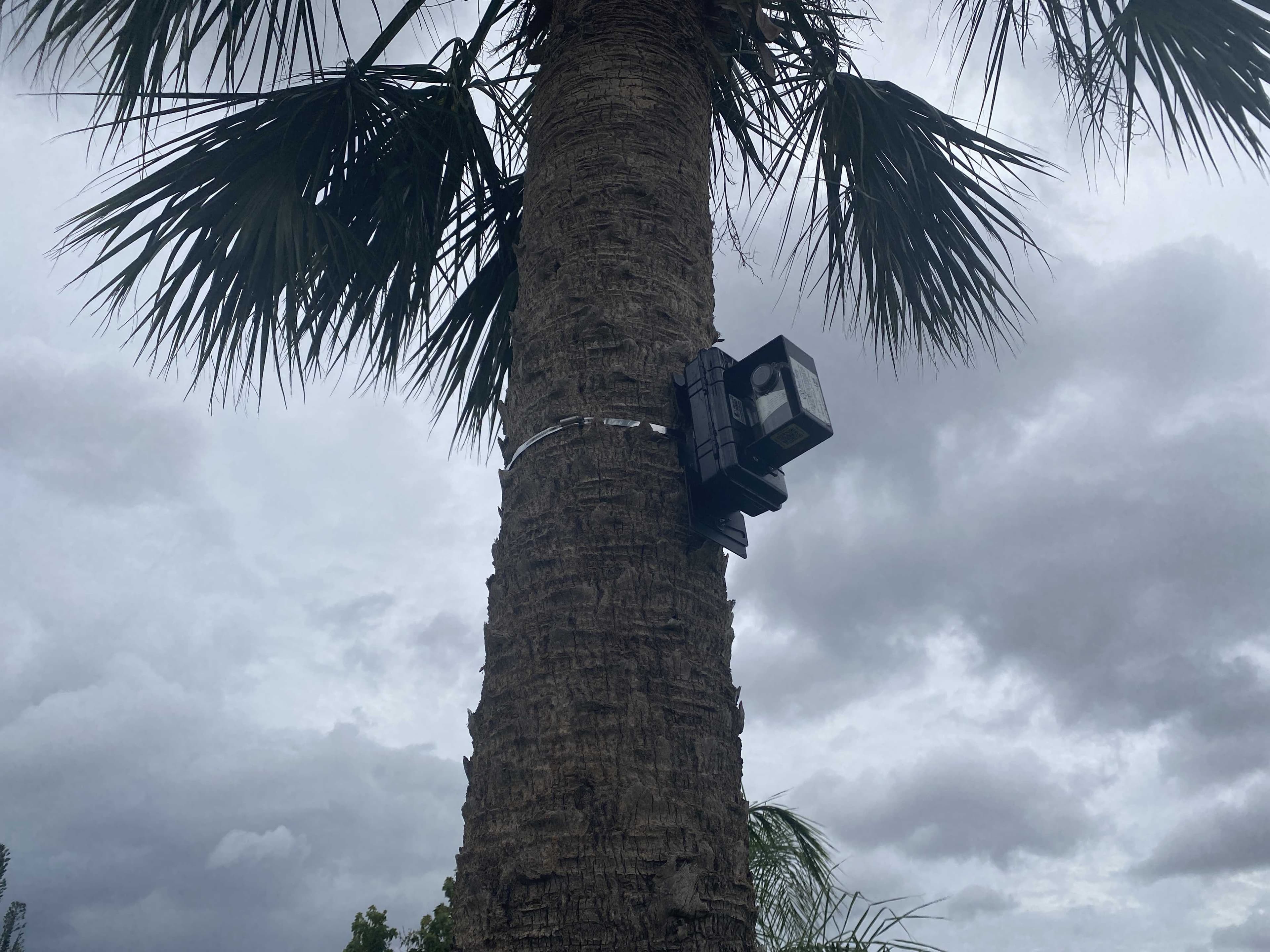 Cape Coral neighbors searching for answers to mysterious cameras