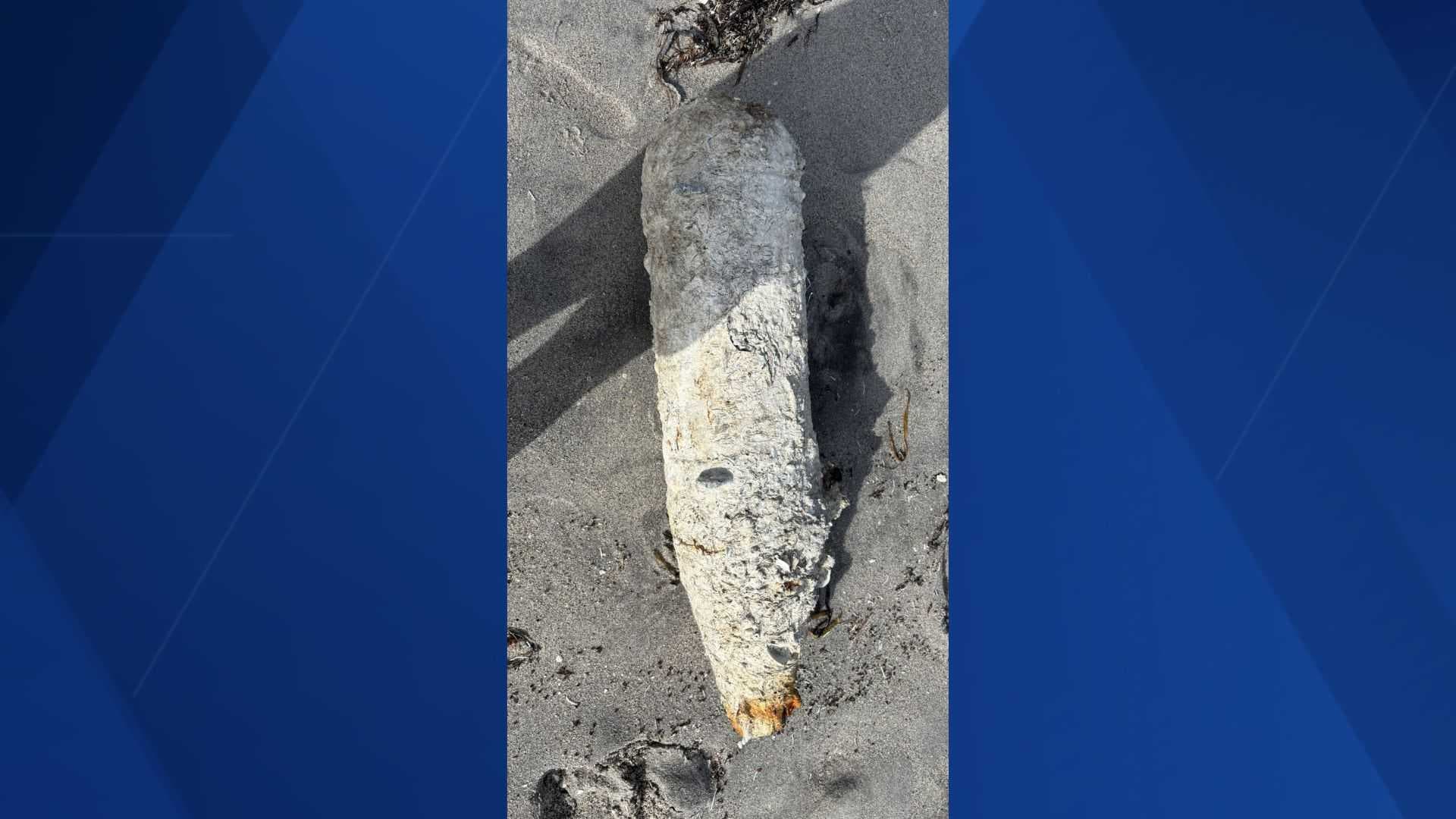 Inactive World War II-era bomb washes ashore on Englewood Beach