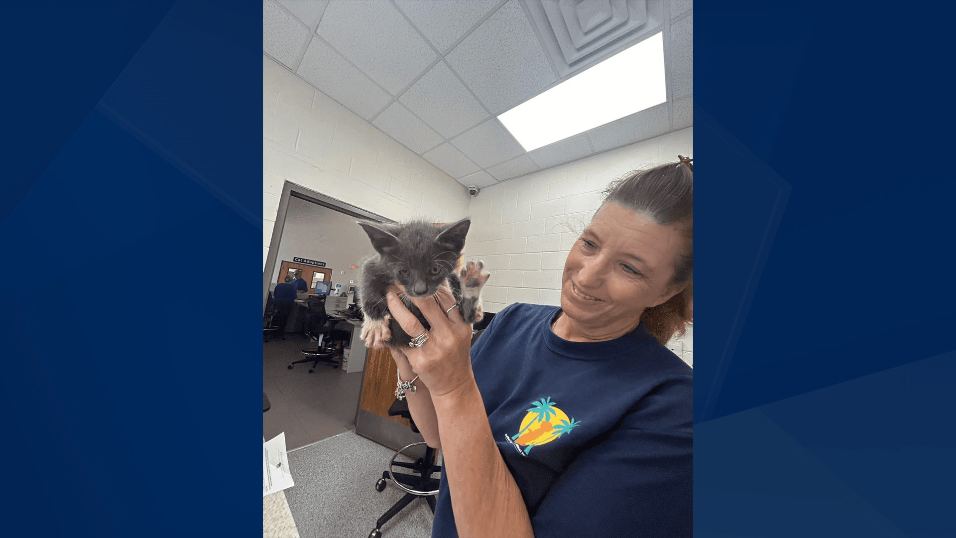 Greater Naples firefighters rescue kitten trapped in storm drain