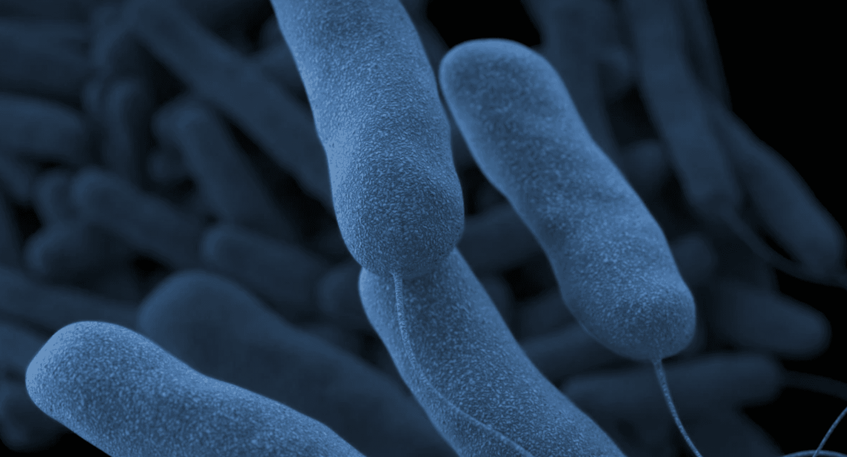 Cases of Legionnaires’ disease on the rise in Lee County