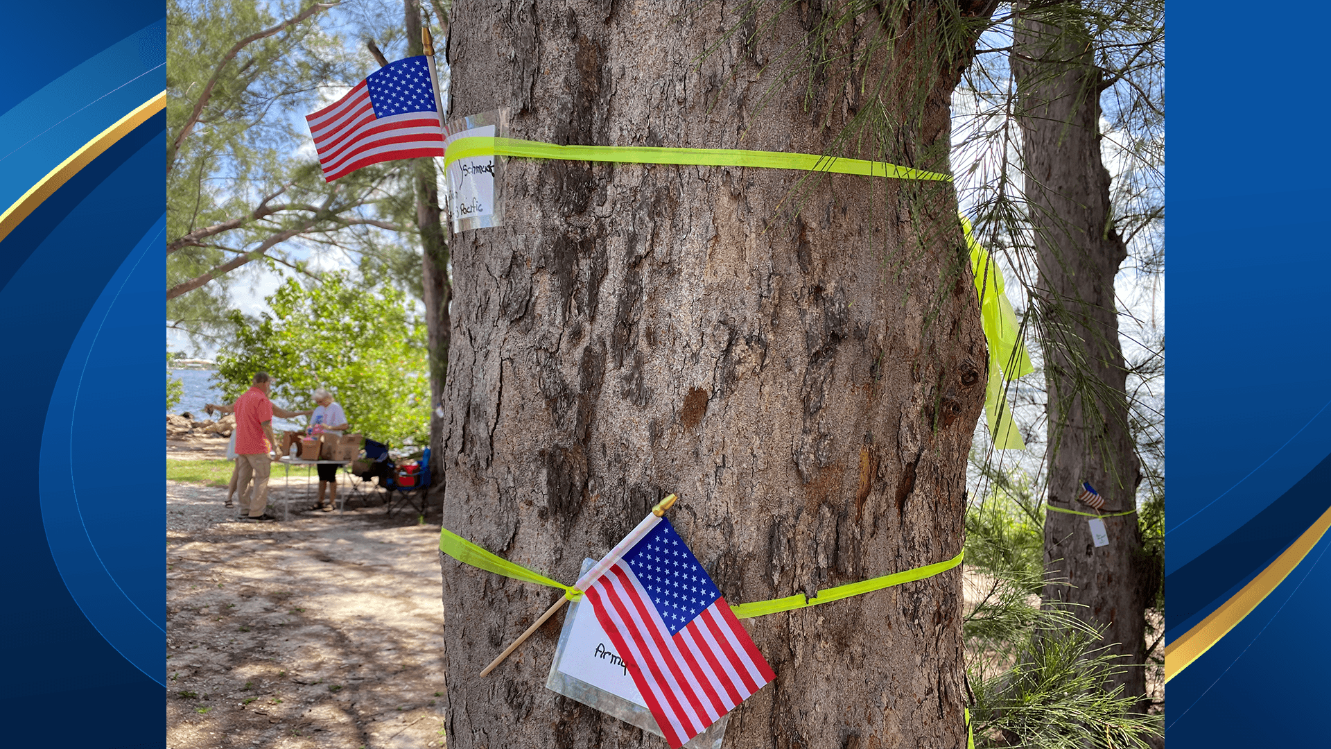Cape Coral community ties ribbons at Jaycee Park to honor veterans, raise awareness of tree removal plans