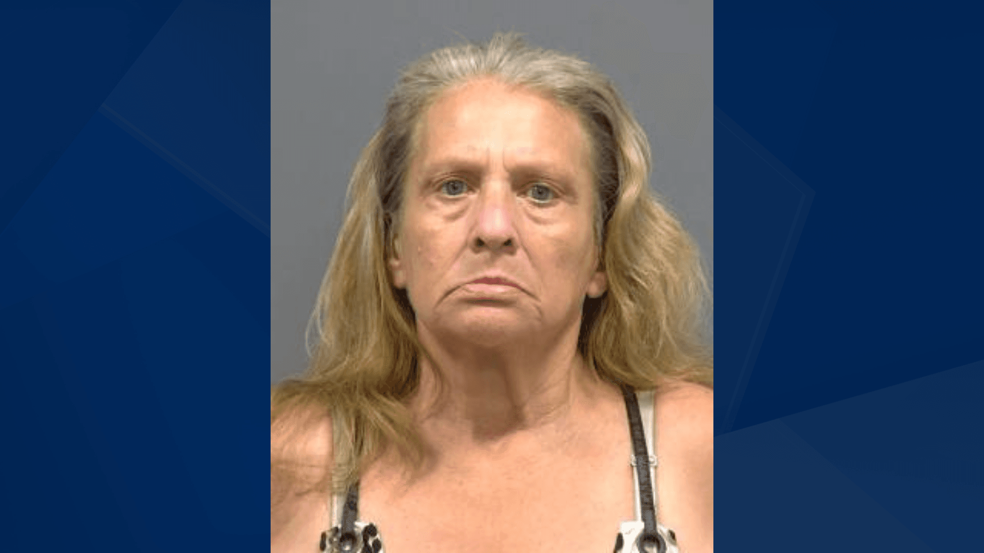 North Fort Myers woman wanted for violating probation on theft charges