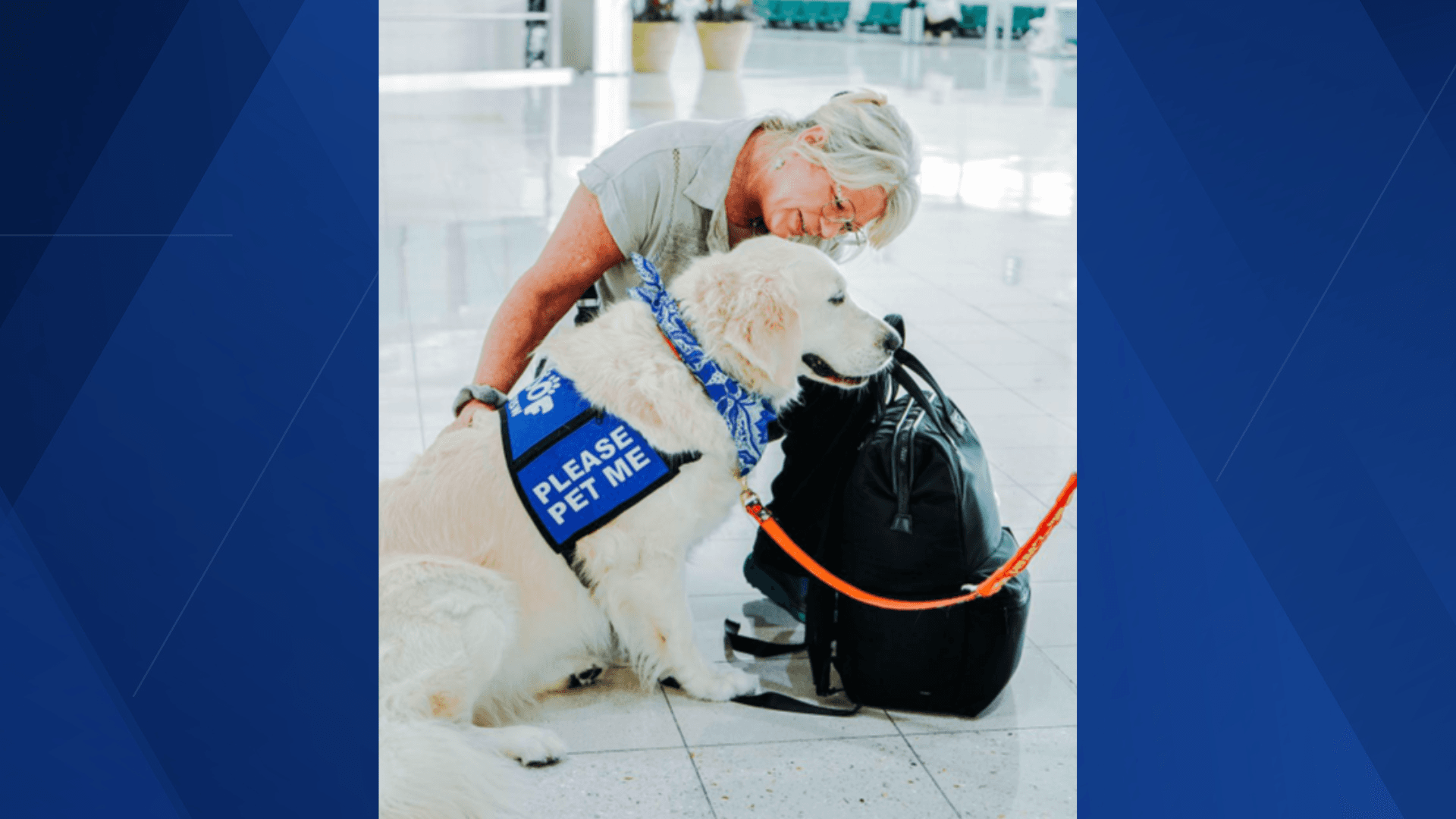Southwest Florida International Airport introduces new therapy dog program