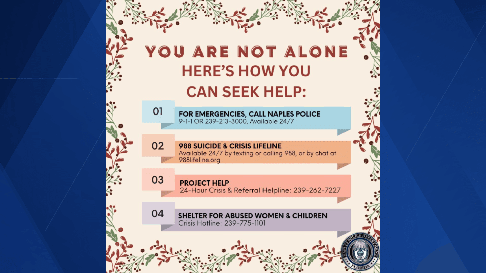 Resources available for mental health support during the holiday season