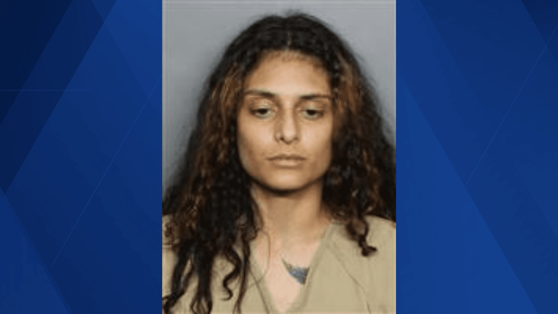 South Fort Myers woman accused of fleeing 2 traffic stops in multi-county pursuit