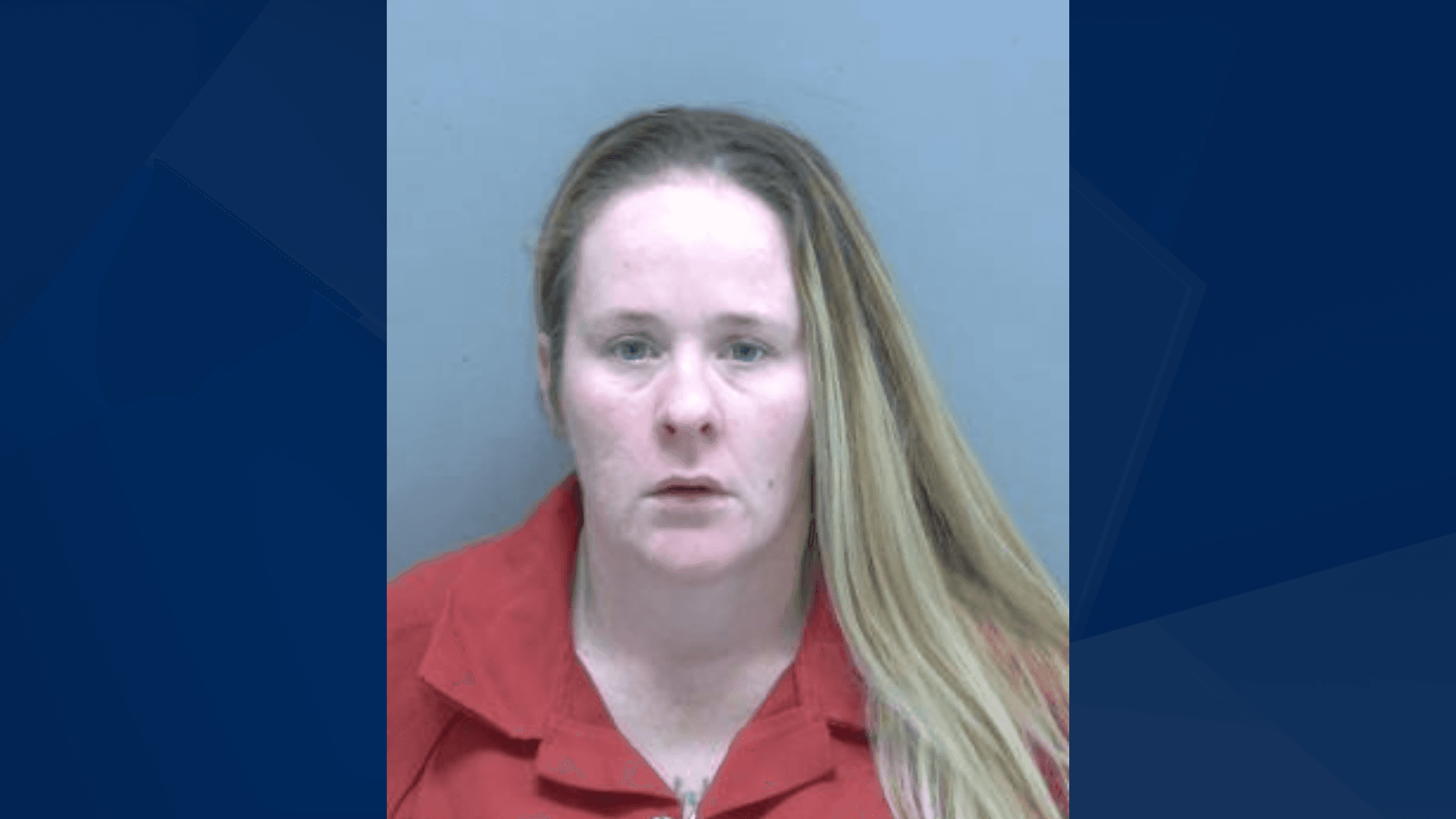 North Fort Myers woman accused of stealing cash, checks from a local business