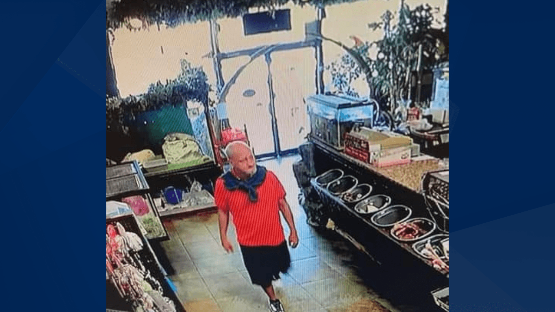 Fort Myers police searching for man accused of stealing puppy from Pet Kingdom
