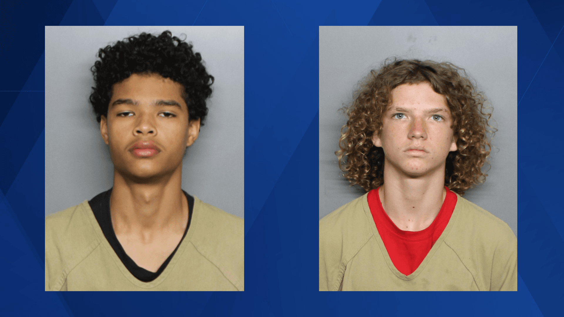 Two Port Charlotte teens suspects in more than 25 car burglaries, including gun thefts