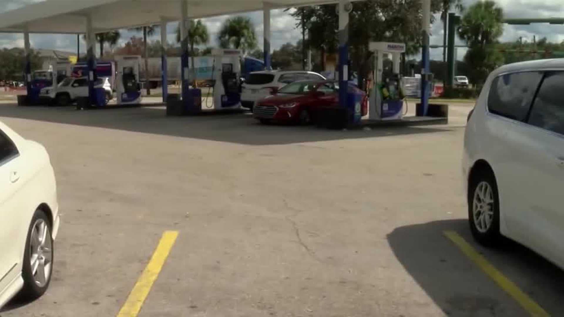 17 dogs found in parked car in Collier County after Hurricane Milton; 1 dog dead
