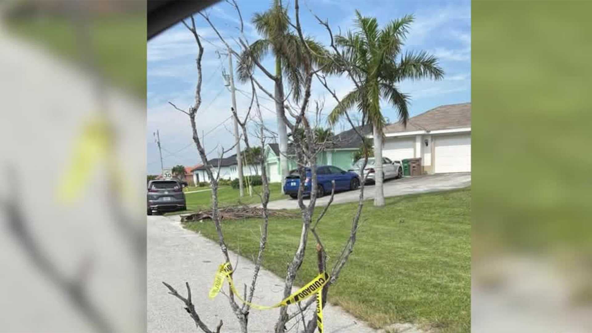 Neighbors in Cape Coral warn of pothole with tree branch decoration