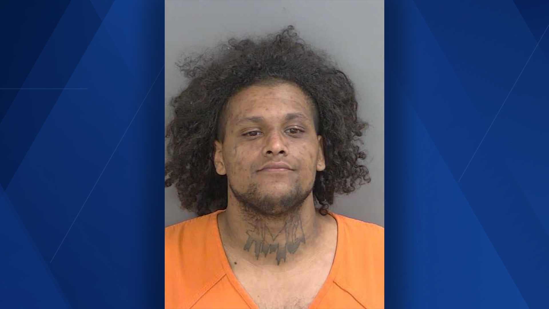 Suspect arrested after chase with deputies through Golden Gate Estates