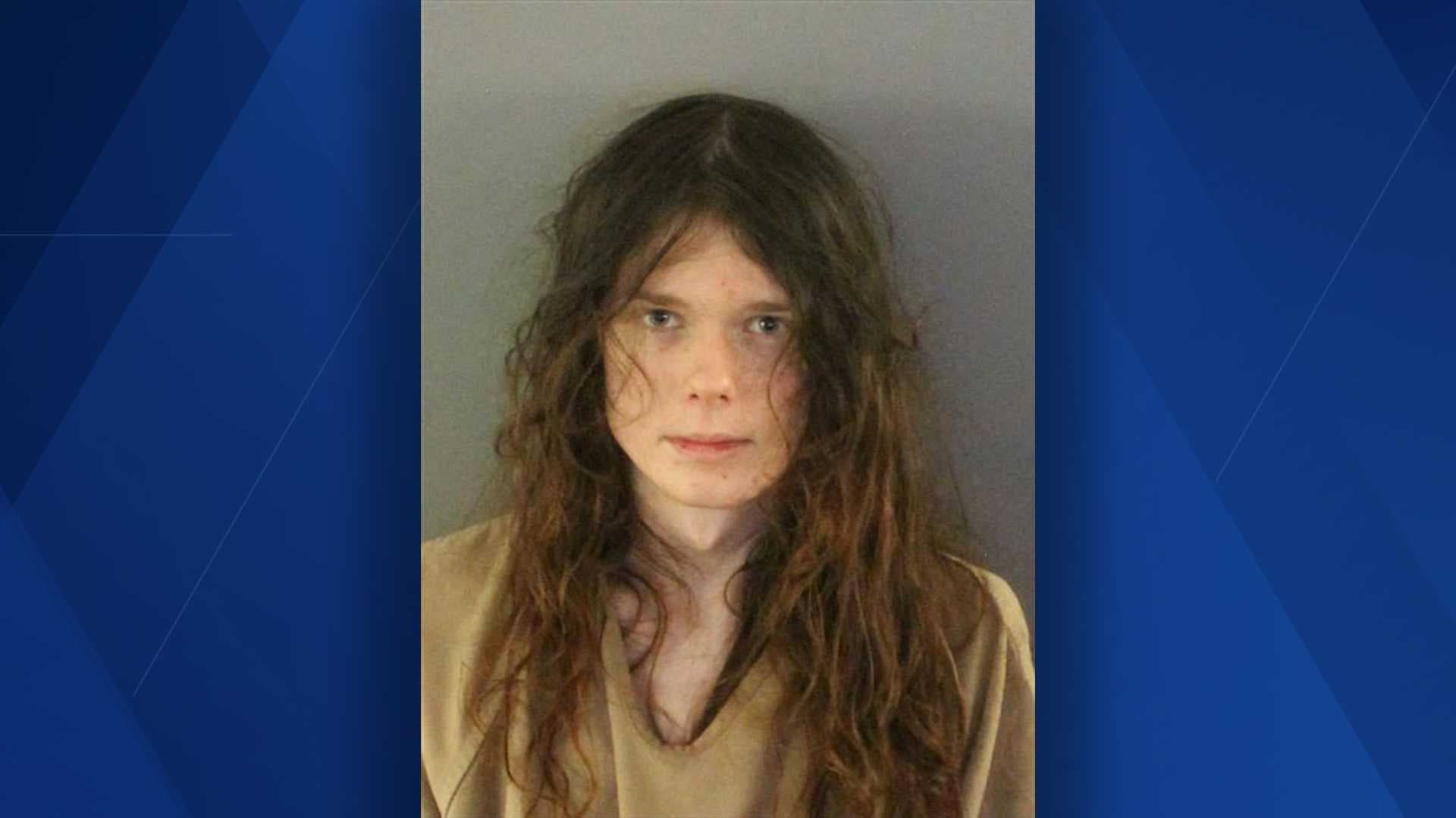 Port Charlotte man accused of killing mother deemed competent to stand trial