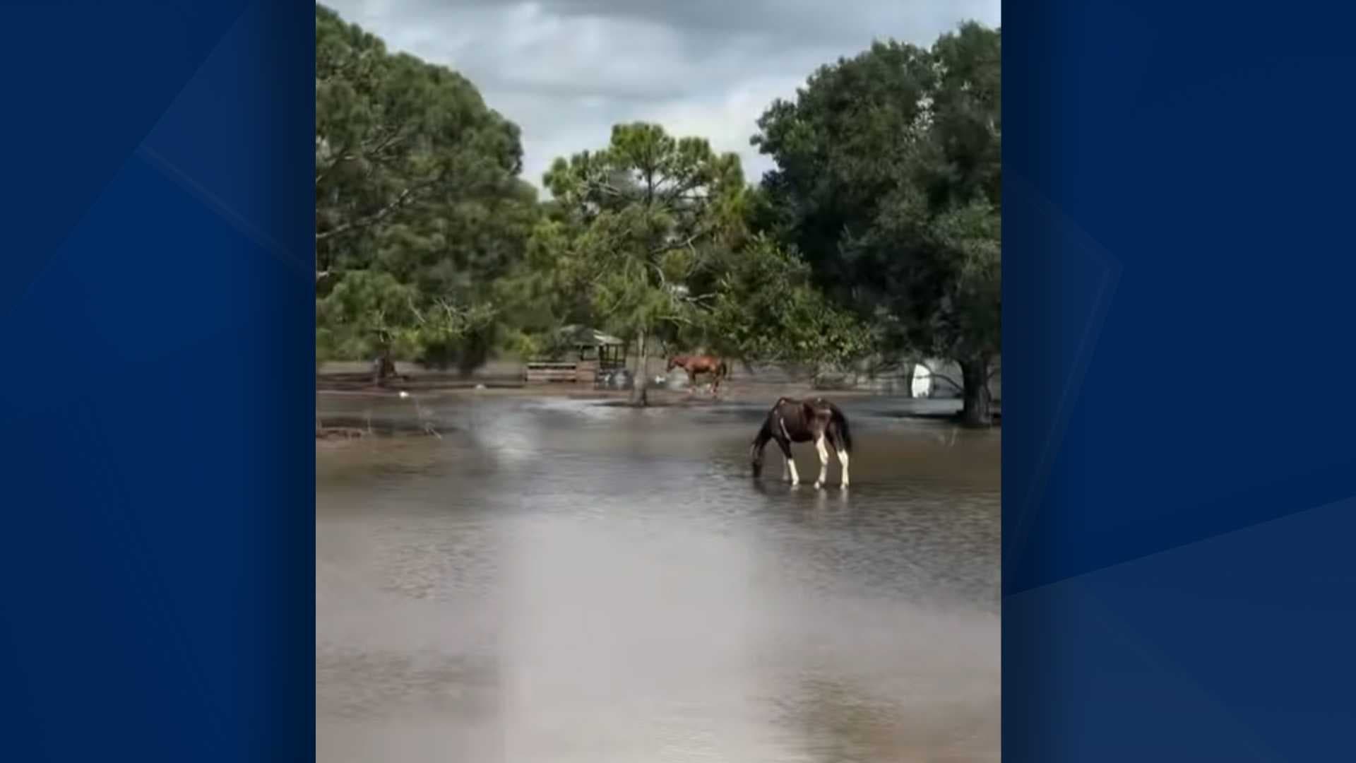Lee County deputies help Lehigh Acres community impacted by flooding from Debby