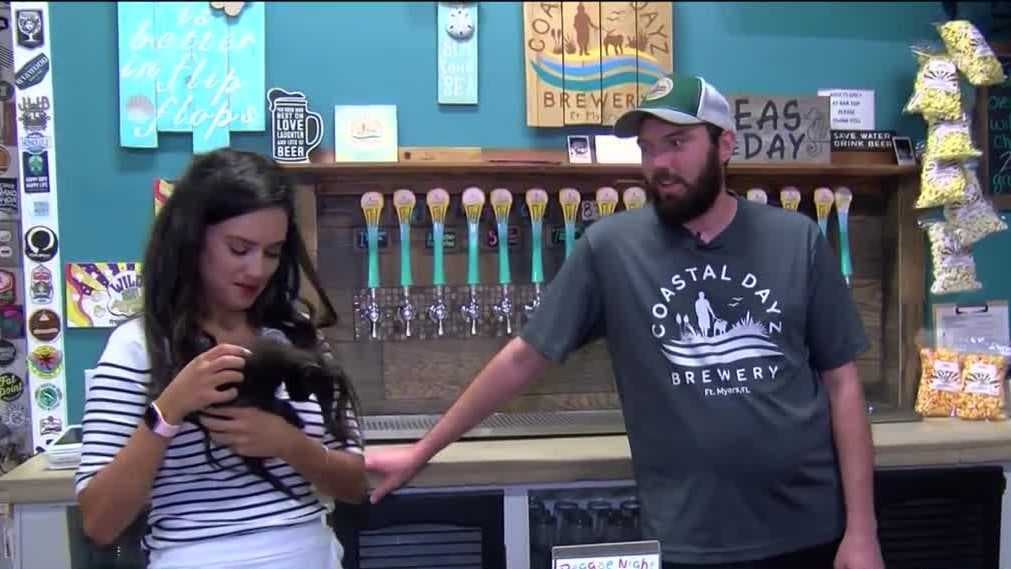 More Explores: Check out the pup cuteness overload at Coastal Dayz Brewery's Hopz & Howlz event