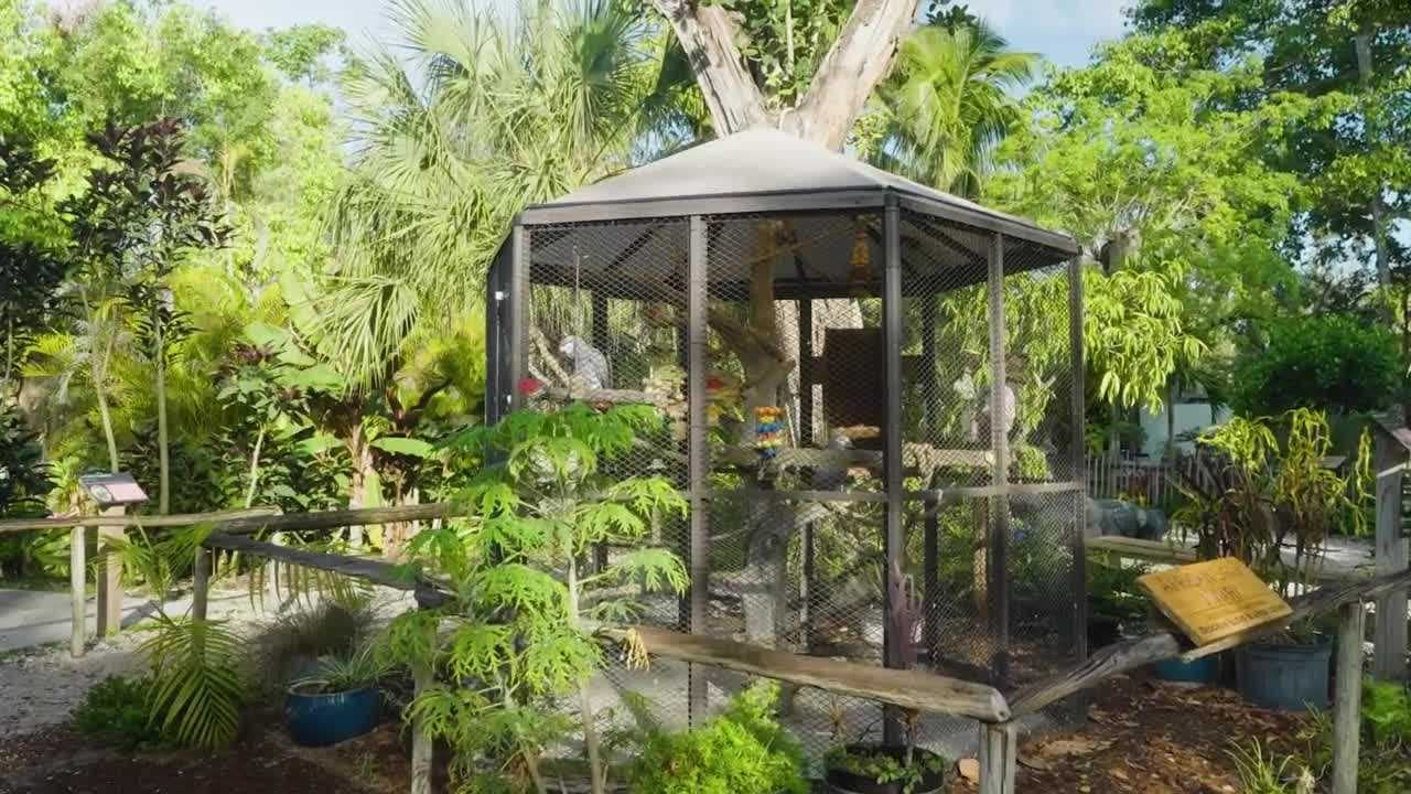 Wonder Wednesday: National Zookeepers Week