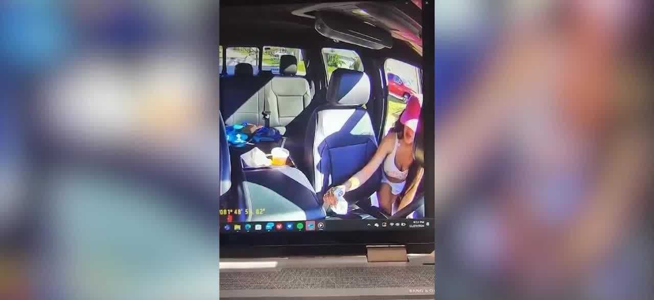 Dash cam catches thief stealing from truck in Naples Park