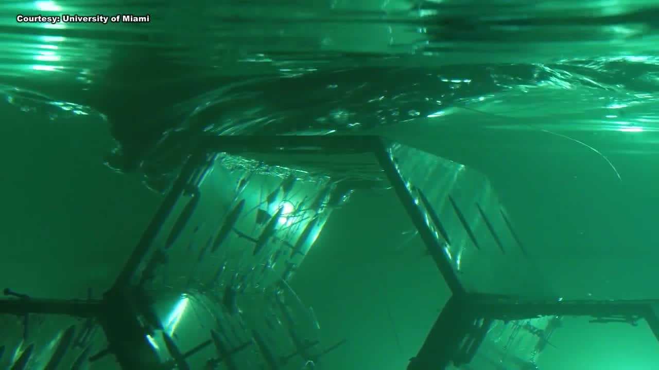 University of Miami lab enhances hurricane forecasts with simulation technology
