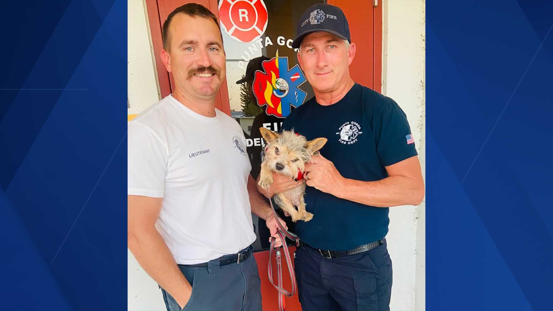 Punta Gorda firefighters step up big time to save the life of a couple's dog
