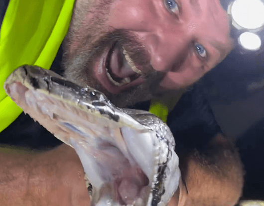 FWC trapper catches 17-foot Burmese python in Florida Everglades