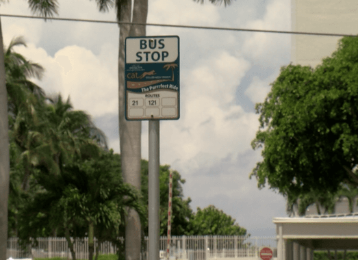 Marco Island split over $200K public transportation proposal