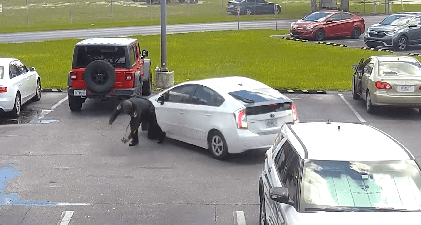 Woman arrested, accused of intentionally running into Lee County deputy with vehicle
