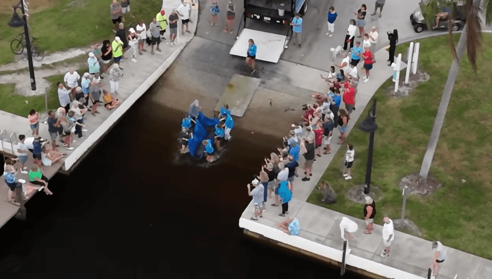 Fonzie the manatee rescued in Port of the Islands, returned safely 8 months later