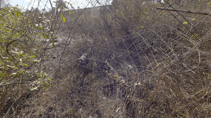'Booby traps' reported on ATV trails in Golden Gate Estates