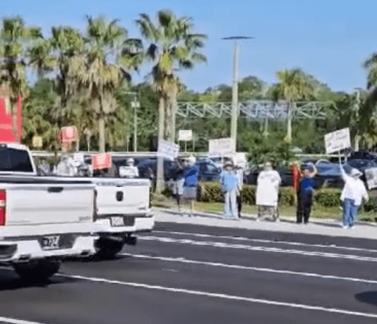 Protesters rally at Fort Myers Tesla dealership against Elon Musk and DOGE