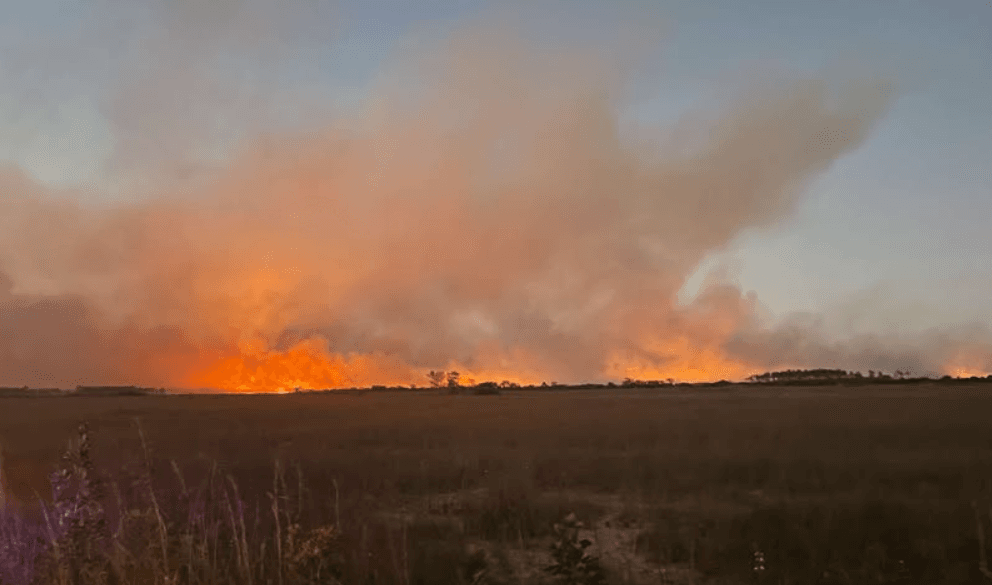 Nearly 2,000-acre brush fire burns in Florida's Everglades National Park