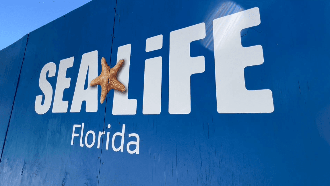 Sea Life Florida: World's first 'Theme Park Under the Sea' opens in Legoland
