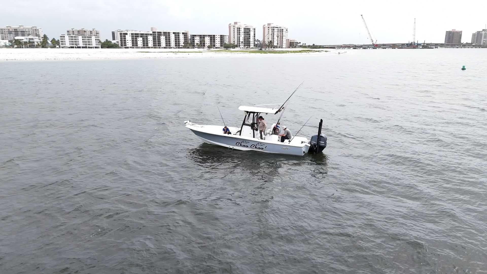 Sharks inching closer to SWFL shores, experts explain why