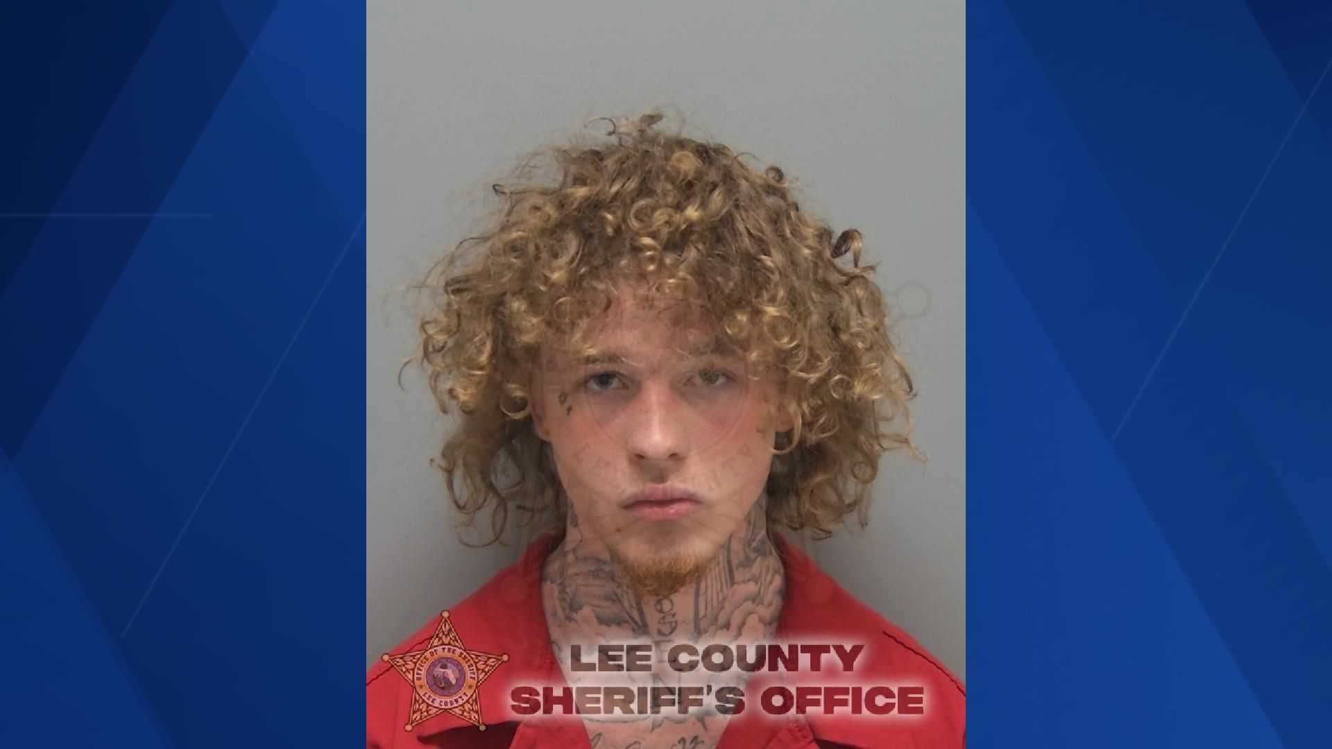 Cape Coral man arrested, accused of high-speed crash in stolen BMW