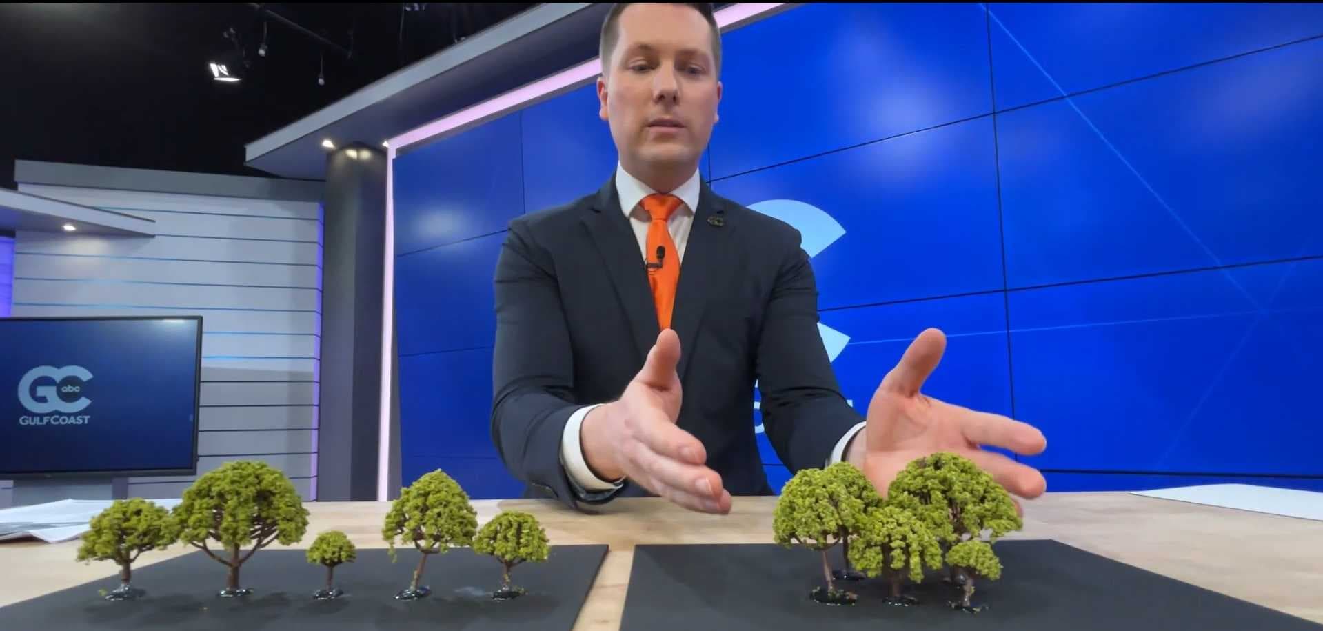 Tree tips: Lessons from past hurricanes