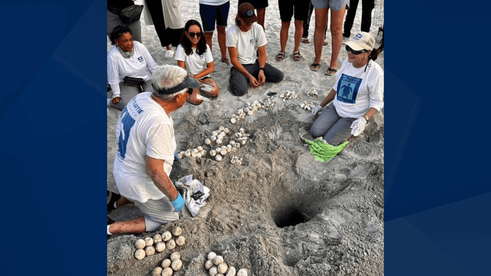 First leatherback sea turtle hatchlings on Sanibel in 4 years